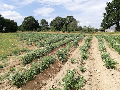 La Ferme Du-Pâquis Fleury, Primeur Fruits et Légumes au Bourgneuf-la-Forêt