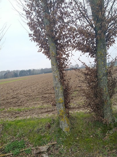 Earl Cosse, Primeur Fruits et Légumes à Périgny