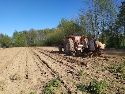 Jardin De L'Euche - Vente Directe, Primeur Fruits et Légumes à Lécousse