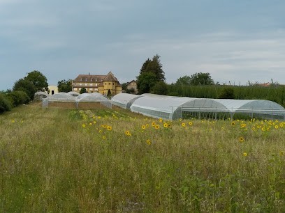 Ferme Saint André, Primeur Fruits et Légumes à Friedolsheim