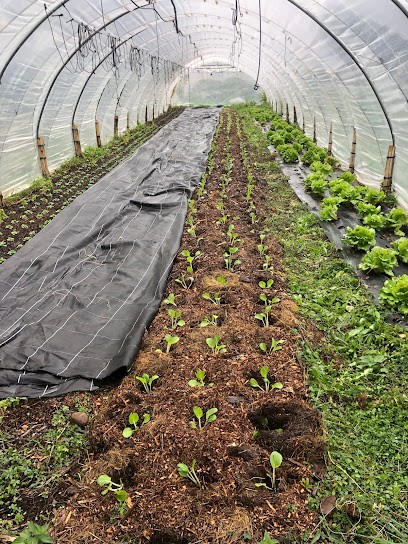 Le Jardin De Tournesol, Primeur Fruits et Légumes à Blandin