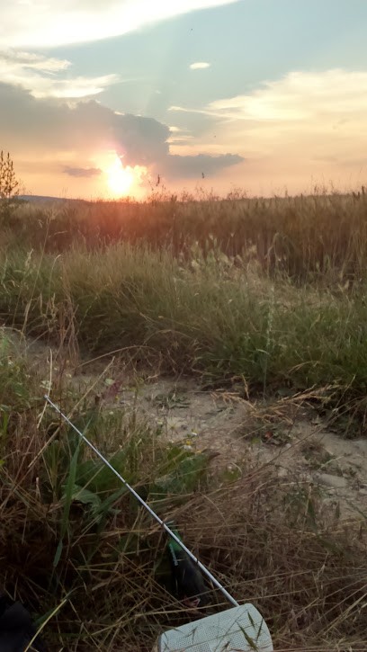 Carrichon Alain, Primeur Fruits et Légumes à Rillieux-la-Pape