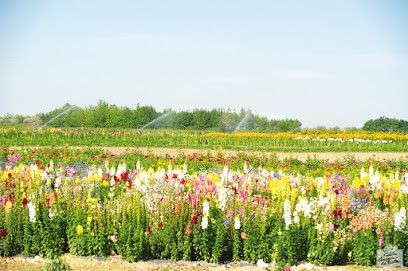 The Cergy Picking, Primeur Fruits et Légumes à Puiseux-Pontoise