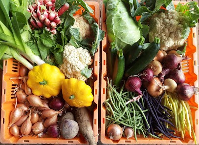 Légumes De La Cantinière, Primeur Fruits et Légumes à Saint-Lumine-de-Clisson