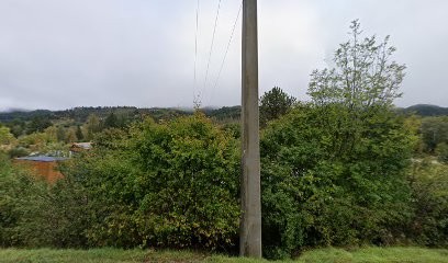Divers - plantes et légumes bio Garden, Primeur Fruits et Légumes à Die