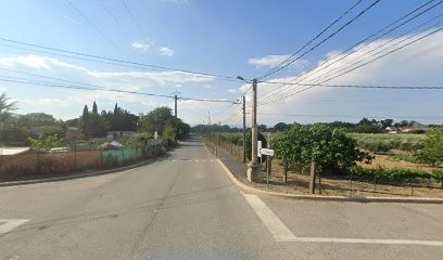 Gaec Des Trois Soleils, Primeur Fruits et Légumes à Maraussan