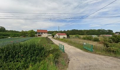 Les Paniers Bio D'Ouroux, Primeur Fruits et Légumes à Ouroux-sur-Saône