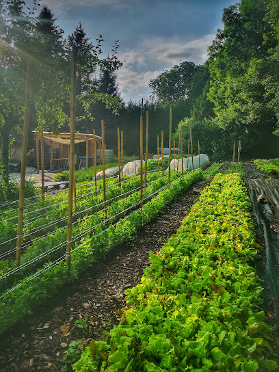 Le Jardin Culotté, Primeur - Fruits Et Légumes à Manneville-la-Raoult