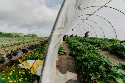 Les Maraichers De La Coudraie, Primeur Fruits et Légumes à Quimper