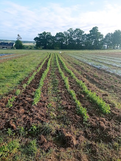 Les jardins de la crècherie, Primeur Fruits et Légumes à Bourg-des-Comptes