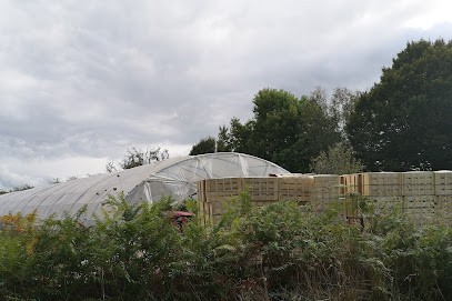 Gaec De Kerihuel, Primeur Fruits et Légumes à Locoal-Mendon