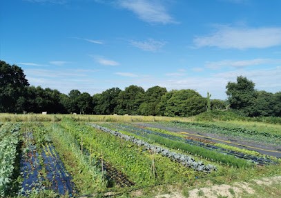 Les Jardins D'antan, Primeur Fruits et Légumes à Pleugriffet