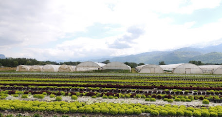 Les Potagers De Belledonne Primeur - Fruits Et Légumes à Meylan