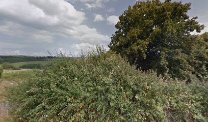 Poulossier Yves, Primeur Fruits et Légumes à Saint-Priest-la-Roche