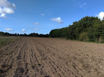 Le Verger De La Baie, Primeur Fruits et Légumes à Saint-Cast-le-Guildo