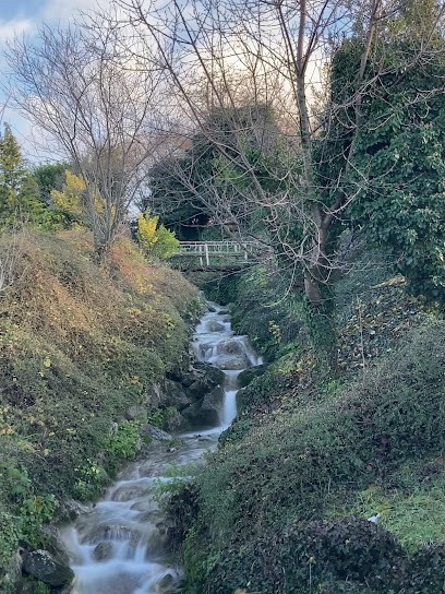 Earl Dutruel - Le Vert De Terre, Primeur Fruits et Légumes à Publier