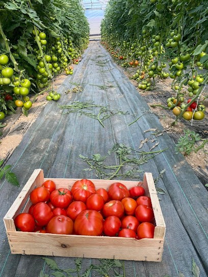 Les Jardins SIMON, Primeur Fruits et Légumes à Castelsarrasin