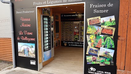 La Ferme De Bellozanne, Primeur Fruits et Légumes à Samer