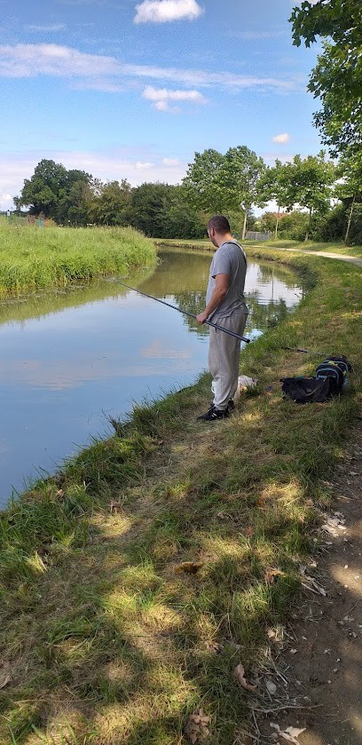 Regnault (gaec), Primeur Fruits et Légumes à Poincy