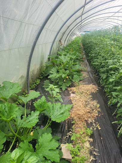 Le Potager De Marlonge Primeur - Fruits Et Légumes à Chambon