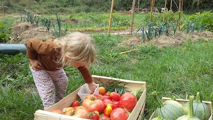 Jardin Maraîcher du Baradis, Primeur Fruits et Légumes à Blanquefort-sur-Briolance