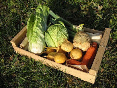 Le Jardin Du Marais, Primeur Fruits et Légumes à Marsangy