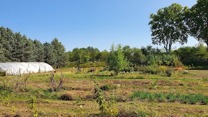 La Ferme De Bruguerolle, Primeur Fruits et Légumes à Saint-Ambroix