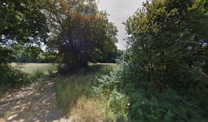 La Carotte Sauvage, Primeur Fruits et Légumes à Trégrom