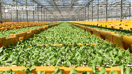 Beekenkamp Plants B.v., Primeur - Fruits Et Légumes à Rousson
