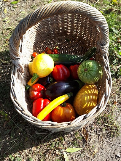 ESPACE BIO 85 - Tenue maraîchère biologique, Primeur Fruits et Légumes à Challans