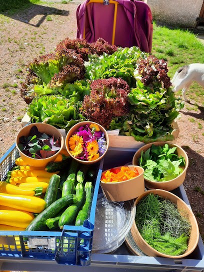 Potager des bois gourmands, Primeur Fruits et Légumes à Saint-Georges-de-Baroille