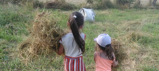 La Ferme d'Adeline et Benjamin, Primeur Fruits et Légumes à Saint-Sornin-la-Marche