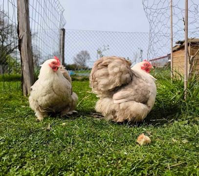 La Ferme Du Chant Des Asphodèles, Primeur Fruits et Légumes à Ternant