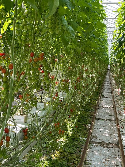 TOM-COM LA Richadiere, Primeur Fruits et Légumes à Servon-sur-Vilaine