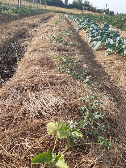 La Ferme Du Biau Vivant, Primeur Fruits et Légumes à Bonnefont