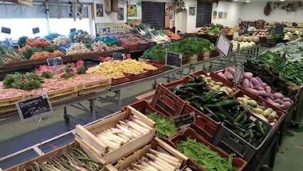 Les Légumes Des Iles Feray, Primeur Fruits et Légumes à Tournon-sur-Rhône