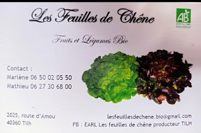 Earl Les Feuilles De Chêne Primeur - Fruits Et Légumes à Tilh