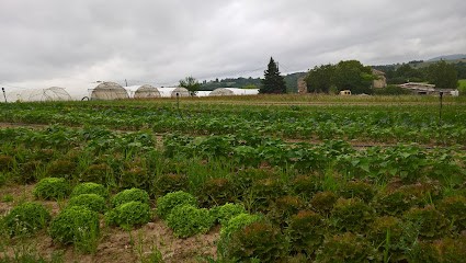 BERNARD Stéphanie, Primeur Fruits et Légumes à Mouzieys-Panens