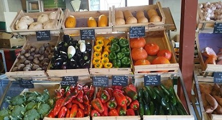 Fillols Bernard, Primeur Fruits et Légumes à Pia