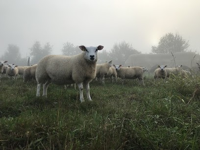 GAEC Le Jardin Des Fedes, Primeur Fruits et Légumes à Mas-Grenier