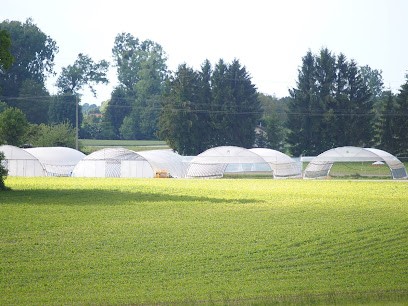 Les Légumes De Luyères, Primeur Fruits et Légumes à Luyères