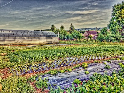 Maraîcher BeeO, Primeur Fruits et Légumes à Meurcourt