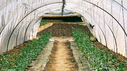 Les Jardins Du Mas, Primeur Fruits et Légumes à Saint-Yrieix-sur-Charente