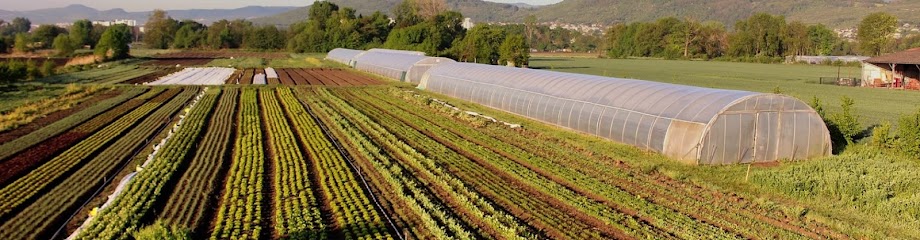 Le Pré Du Puy Primeur - Fruits Et Légumes à Cébazat