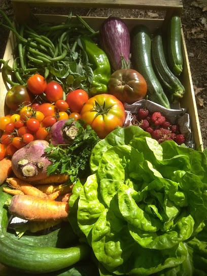 Les Paniers Du Jardin, Primeur Fruits et Légumes à Neuville