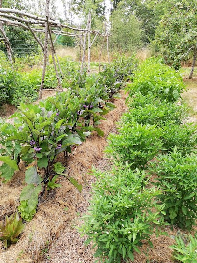Au potager de Bonnet, Primeur Fruits et Légumes à Ardentes