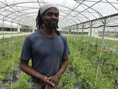 les Paniers Bio d'Ary, Primeur Fruits et Légumes à Blois
