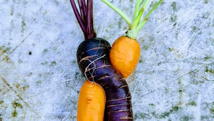 Les Légumes Du Pote à Gers - Benjamin DELESCLUSE, Primeur Fruits et Légumes à Montestruc-sur-Gers