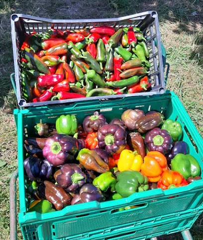 La Huerta de Veyrinas, Primeur Fruits et Légumes à Condat-sur-Vienne