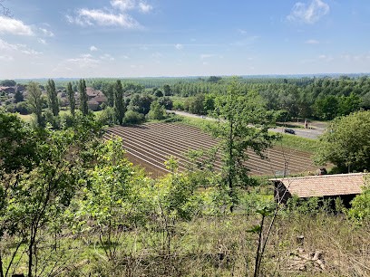 Le Potager Du Dropt, Primeur Fruits et Légumes à Casseuil